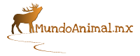 MundoAnimal.mx – Compra Venta de Venados y Animales Exóticos en México